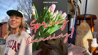 SPRING CLEANING Spring clean my house with me