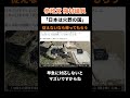 【神】参政党議員「日本は火葬の国です!」 #shorts #政治