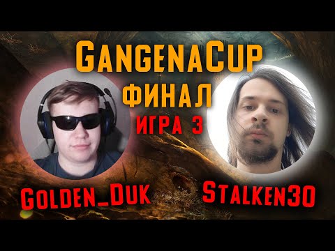 Видео: Финал GangenaCup! Golden_duk vs Stalken30 Игра 3