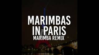 Iphone 13 - Marimbas In Paris Ringtone Link Download Mp3