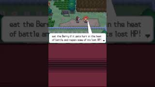 Pokémon World - Unova - Route 19: A Sendoff from Alder