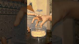 Jari 4 Utung Bisa Apa Aja ???