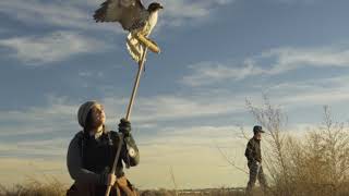 The Wild Hanburys- Going Rogue Cinematic Trailer