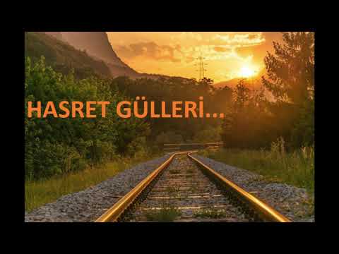 HASRET GÜLLERİ...