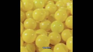 Kalite Kalite B Gibi Pardonda Yani Bune Ya