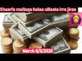 Shaarafa Mallaqa March 6 3 2026 Haala Ulfaata Irra Jiraa