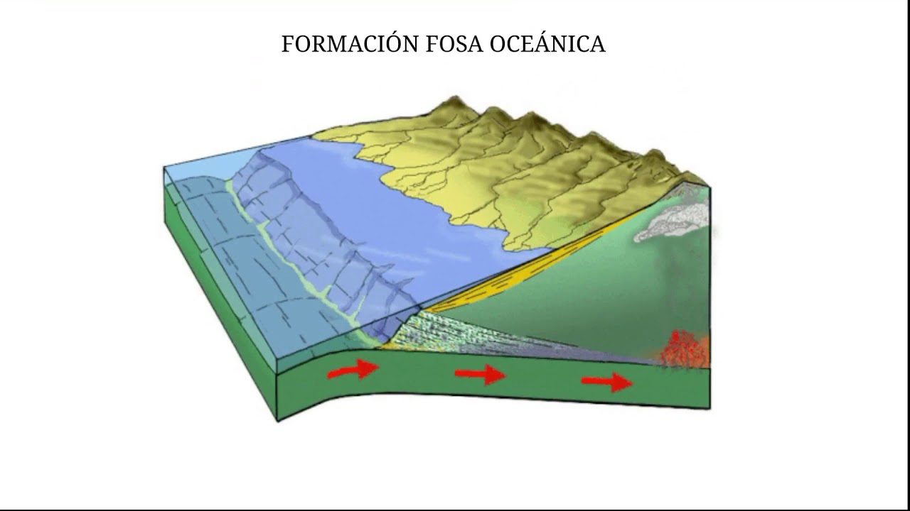 Formación fosa oceanica YouTube Formación fosa oceanica YouTube