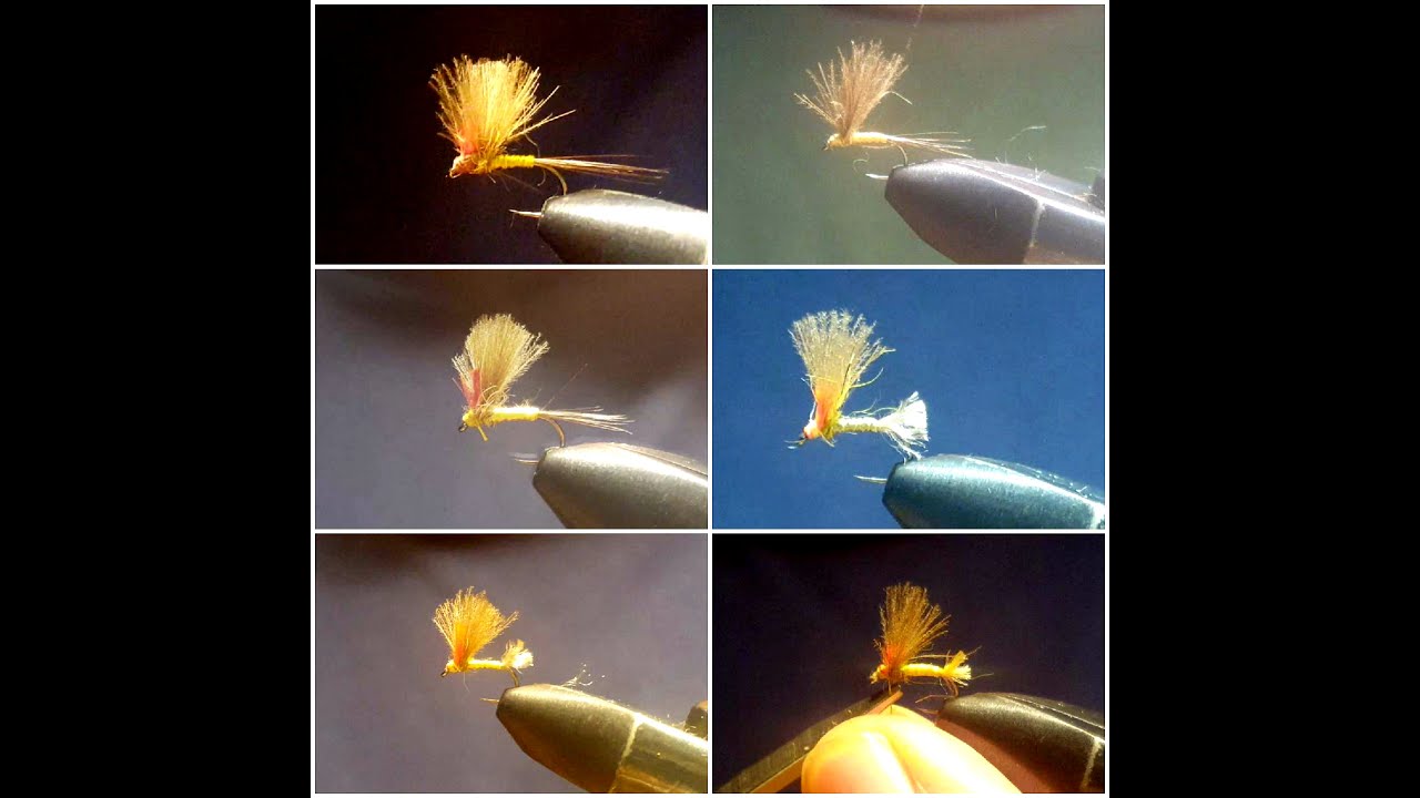 DOCE SON SUFICIENTES…?