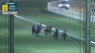 Vidéo de la course PMU PREMIO CAR BOMB