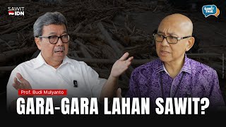 Download Lagu Benarkah lahan Sawit Berkontribusi Terbesar dalam Banjir dan Longsor di Aceh, Sumut dan Sumbar? MP3