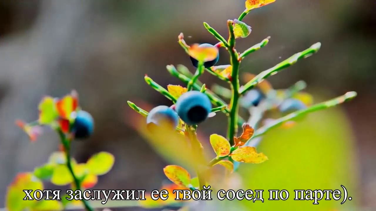 Скромность — путь в неизвестность — Статья