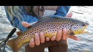420 Fly Fishing High Girl Live Stream