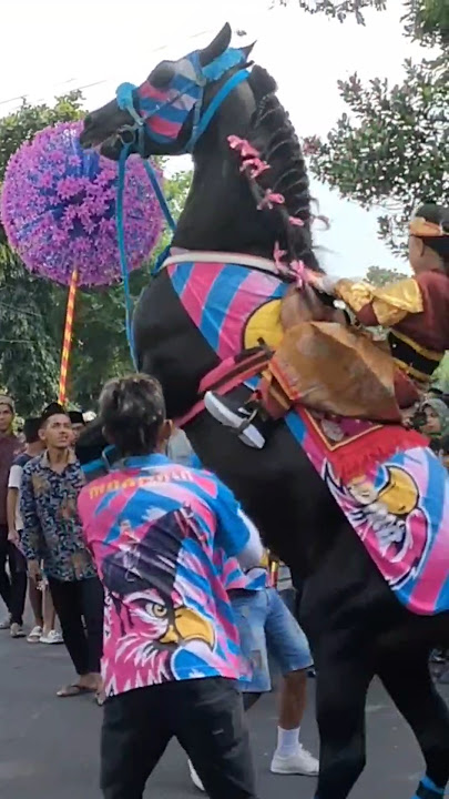 Kuda jingkrak lee #kudacantik #karnaval #kudaponi #kuda #kudajingkrak #kudalucu