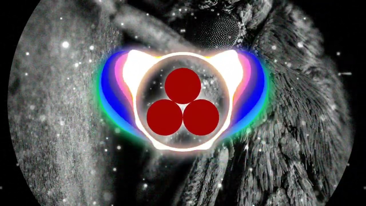 Franco Rossi - Constantia II [Xelima Records]