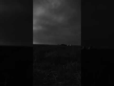 اريد ان اكون لوحدي في الحياه