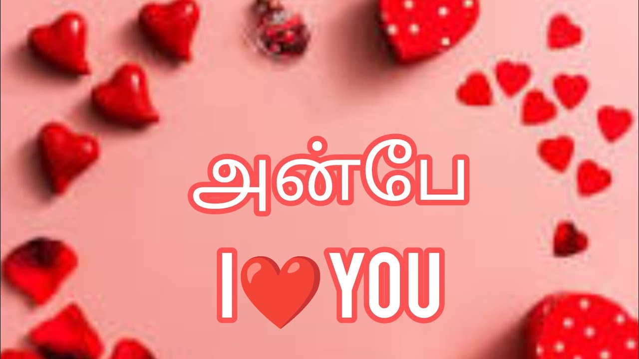 💃💃💃🌹🎁❤️99.99%உங்க person உங்களைத் தேடி வந்து கொண்டிருக்கிறார் வேகமாக #twinflame #lawofattraction 