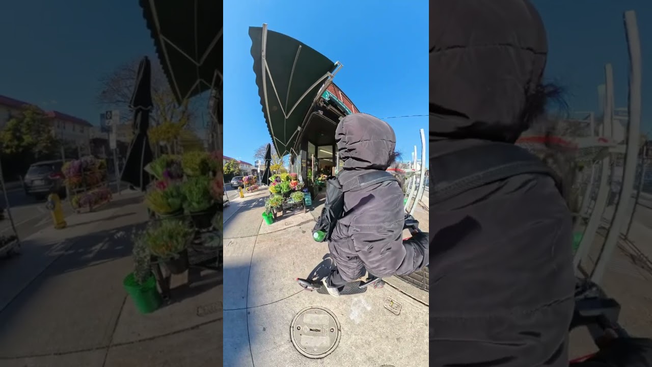  Landsdowne street bloor street to Roncesvalles area Toronto Canada 