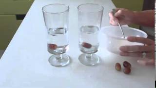Floating grape - simple science for toddlers and preschoolers
