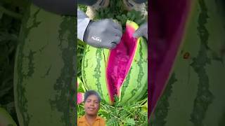 pink watermelon 🍉🍉 #greenscreen #youtubeshorts #fruit #watermelon #food