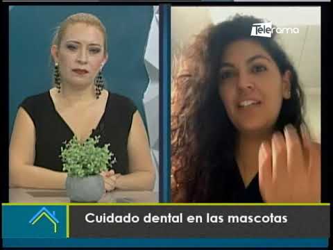 Cuidado dental en las mascotas