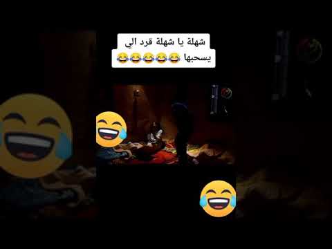 مسلسل سلطانه شهله وعوده