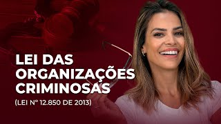 LEI ESQUEMATIZADA - LEI DAS ORGANIZAÇÕES CRIMINOSAS  (Lei nº 12.850 DE 2013)