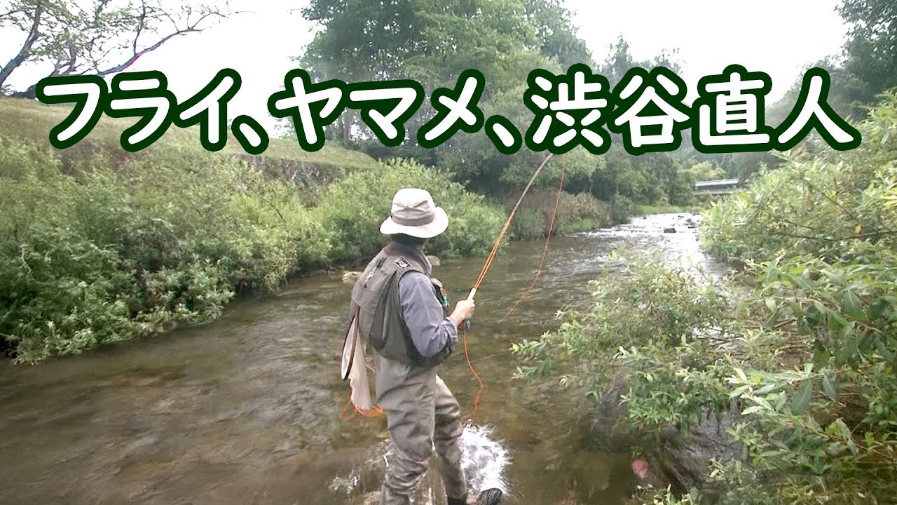 渋谷直人のフライフィッシング。晩夏の渓でヤマメを求める 1/2 『フライギャラリー』【釣りビジョン】