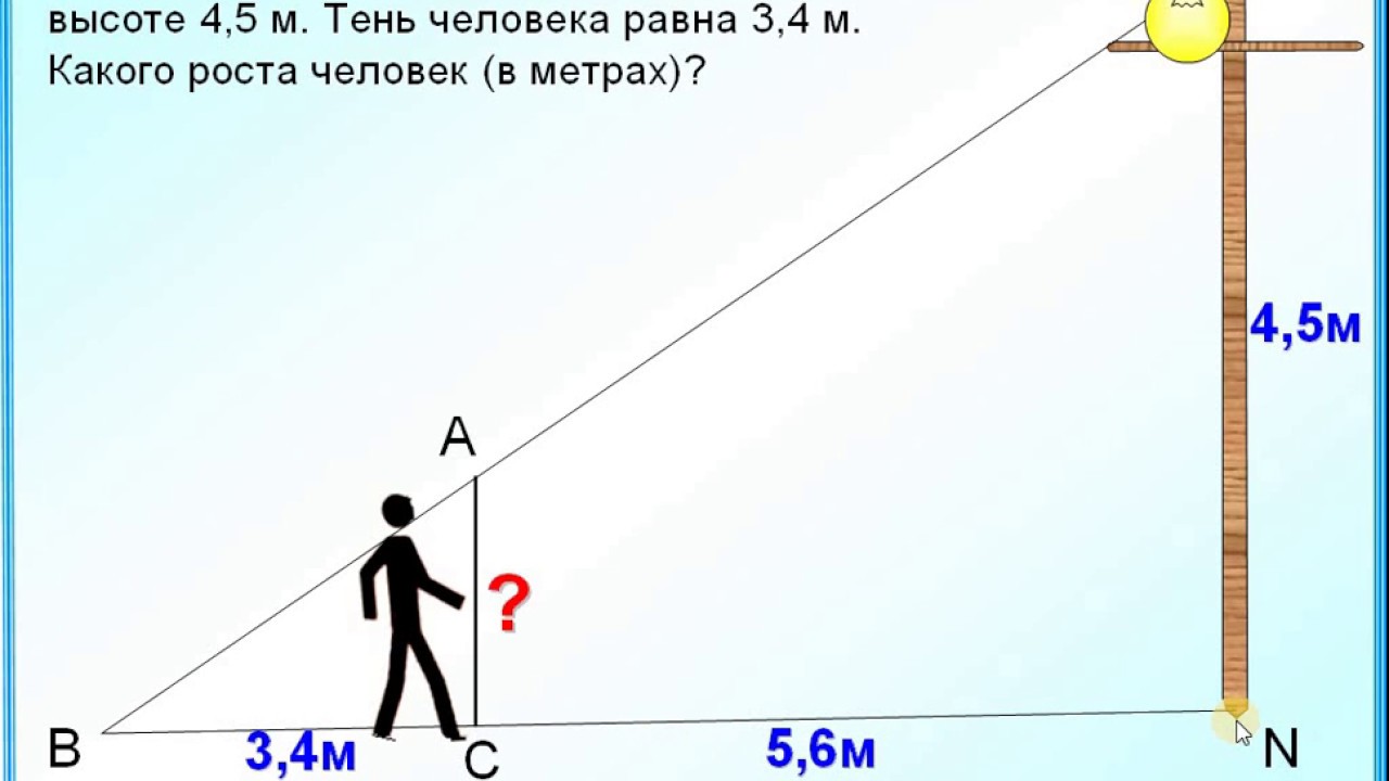 Height 5 6. 5 Метров в высоту. Высота человека. 4 Метра в высоту. Высота 4,5 метра.