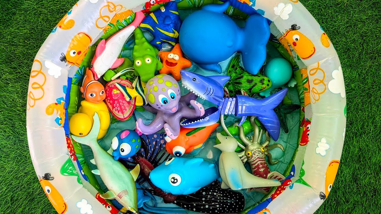 Learn Sea Animals for Kids | Exciting Ocean Discovery & Educational ...