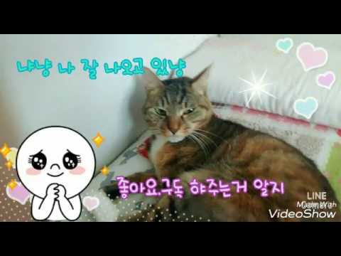 구독좋아요