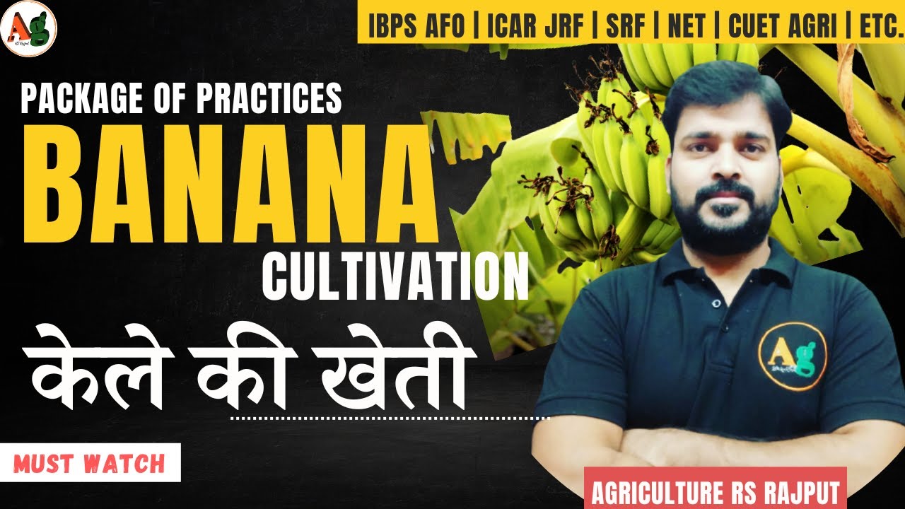 Banana Cultivation