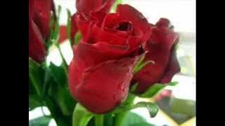 كوكتيل أغاني الورد جميل - YouTube.flv