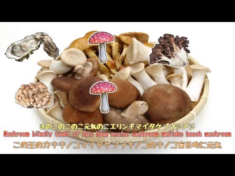 ホクトのCM きのこの唄 Google翻訳で再翻訳し歌ってみた【リクエスト】