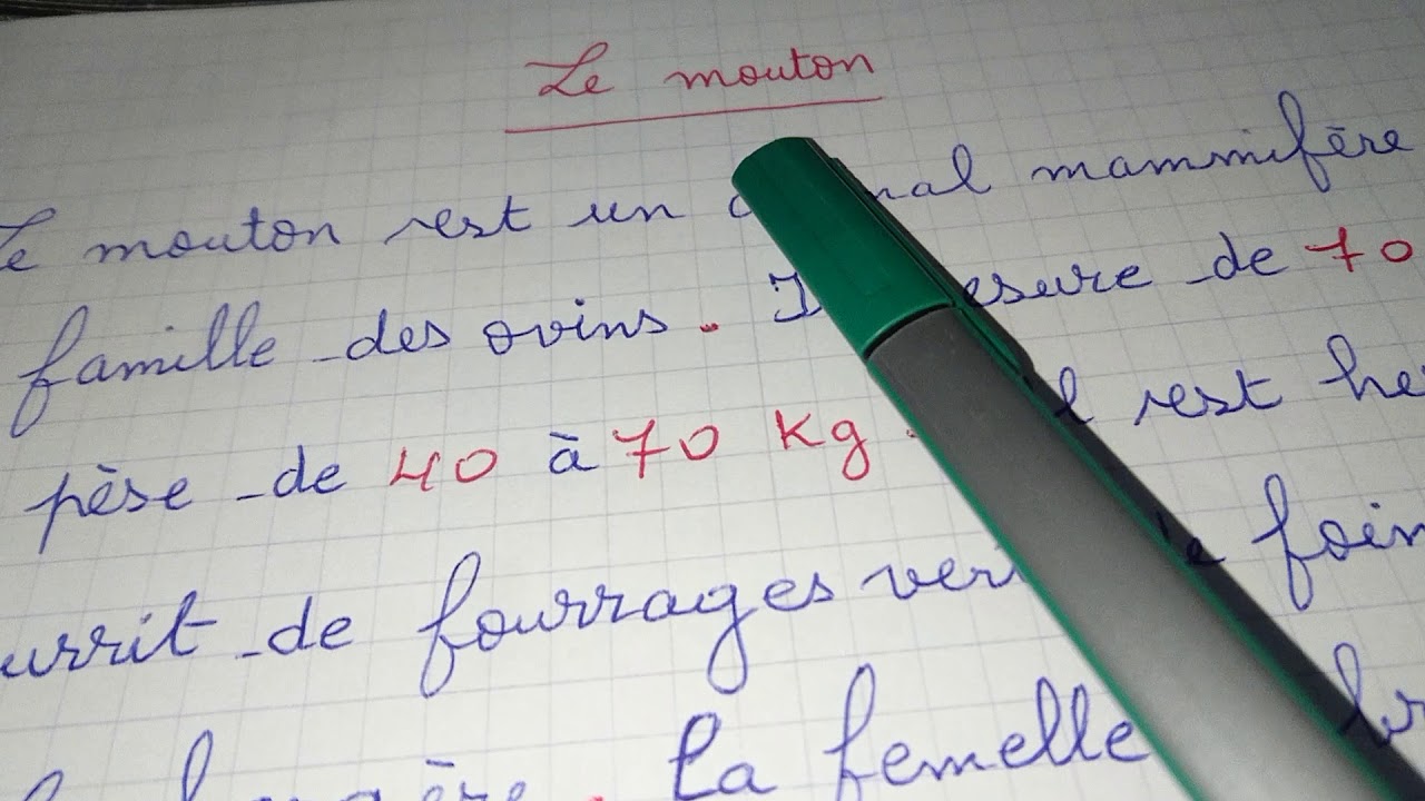 Production écrite sur "le mouton" un animal domestique pour les 5AP@):-