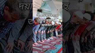 নিশ্চয় আল্লাহ সব গুনাহ মাফ করেন,তিনি হ্মমাশীল,পরম দয়ালু|viralvideoshortvideosubscribeforyouvlog