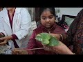 Kokadama classes at Rashmi Aggarwal's house#viralreels