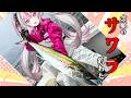 【雑談】初見さん大歓迎！サワラリベンジ大成功✨この興奮を伝えたい【#桃川ニジマス / #うおむすめ 】