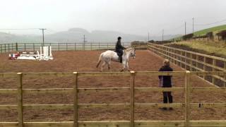 Jack second flatwork lesson at home