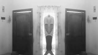 Dance Alone - Beyonce (Serpentard Remix) - Les Twins Music Net Worth