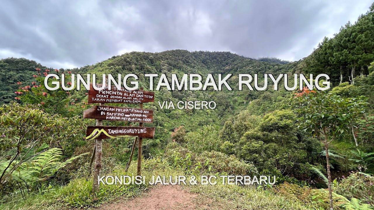 PENDAKIAN GUNUNG TAMBAK RUYUNG VIA CISERO | UPDATE TERBARU JALUR & BASECAMP