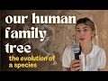 A brief overview of human evolution | HOMO HISTORY