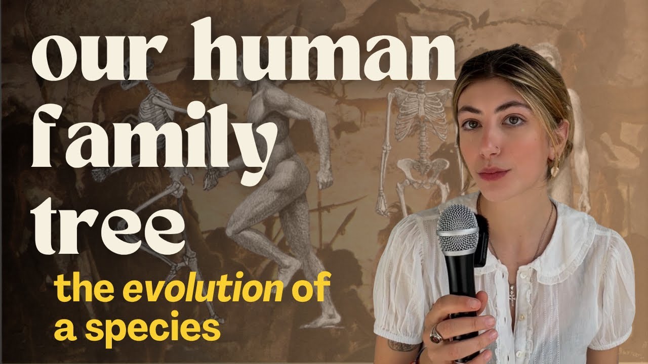 A brief overview of human evolution | HOMO HISTORY - YouTube