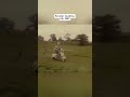 Medieval Jousting on Vespas (1957) | A Wild Historical Reenactment