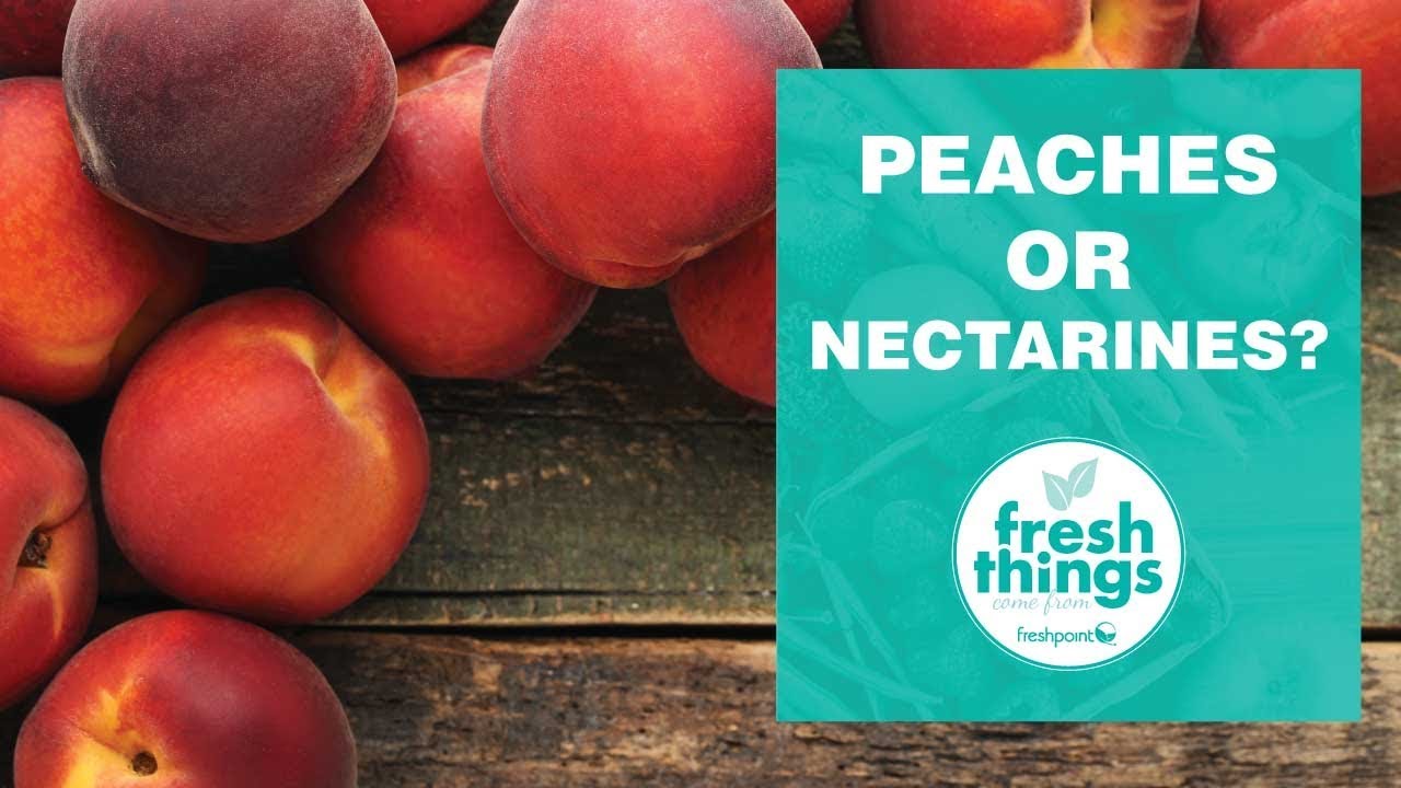 Fresh Things peaches or nectarines? YouTube