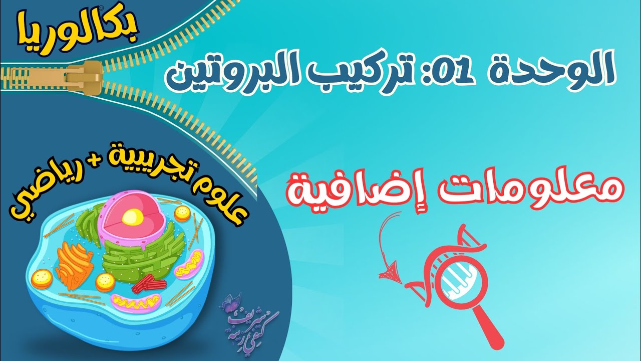بكالوريا📢 تقسيم البروتينات+توضيح حول كيفية نضج البروتين🎯 معلومات ستفيدك في افكار التمارين