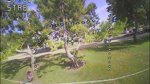 Happy Model Mantis 85 RTF kit impressed me giving me yet again a very decent flight unbiased Review