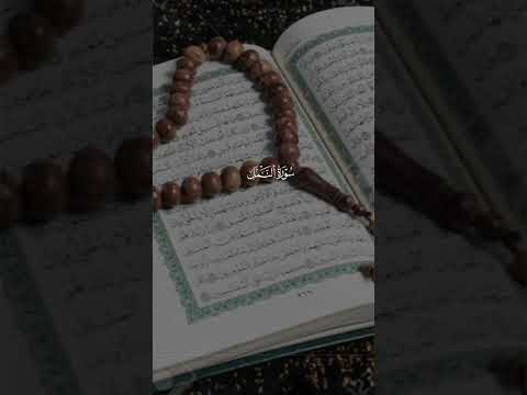 Beautiful voice of Quran #islamicshorts #islamicstoriesinurduandhindi #quran #bayan #love