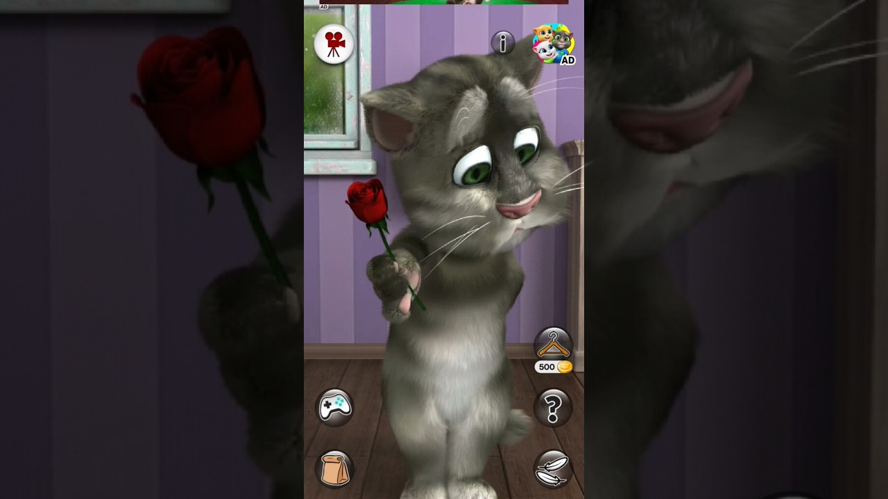 talking Tom funny cat 