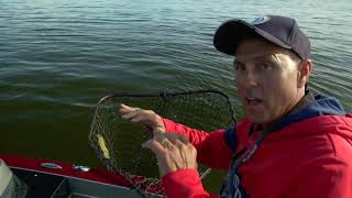 Best of the West screenshot 5