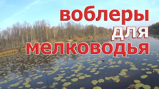 Поверхностные ВОБЛЕРЫ НА ЩУКУ. Попперы, волкеры, минноу. На что ловить щуку в траве.